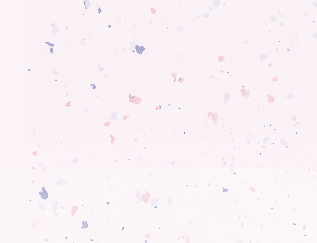 背景の壁紙