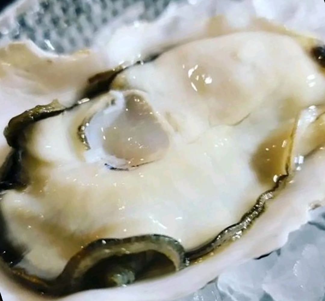 新鮮な生牡蠣